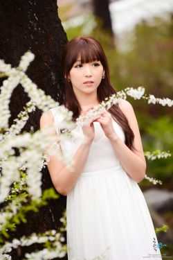 食物链在线观看高清全集免费